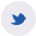 twitter-icon